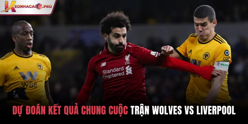 Dự đoán kết quả chung cuộc trận Wolves vs Liverpool